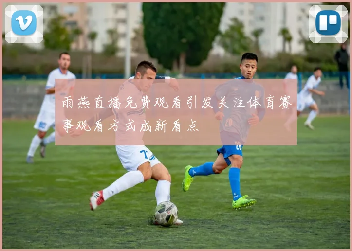 雨燕直播免费观看引发关注体育赛事观看方式成新看点