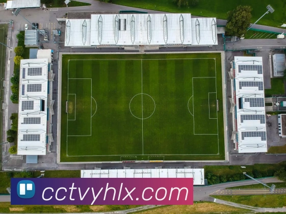 九游电子娱乐入口发展历程